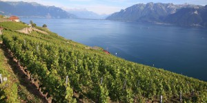 Haute-Savoie : un tremblement de terre sous le lac Léman