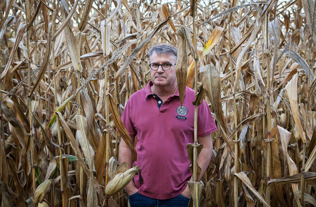 Affaire de l’agriculteur Paul François contre Monsanto : Bayer se pourvoit en cassation