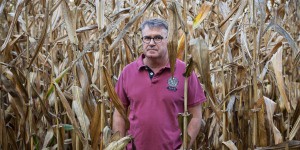 Affaire de l’agriculteur Paul François contre Monsanto : Bayer se pourvoit en cassation