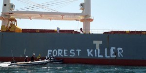 Blocage d’un cargo à Sète : le personnel du port déloge des militants Greenpeace