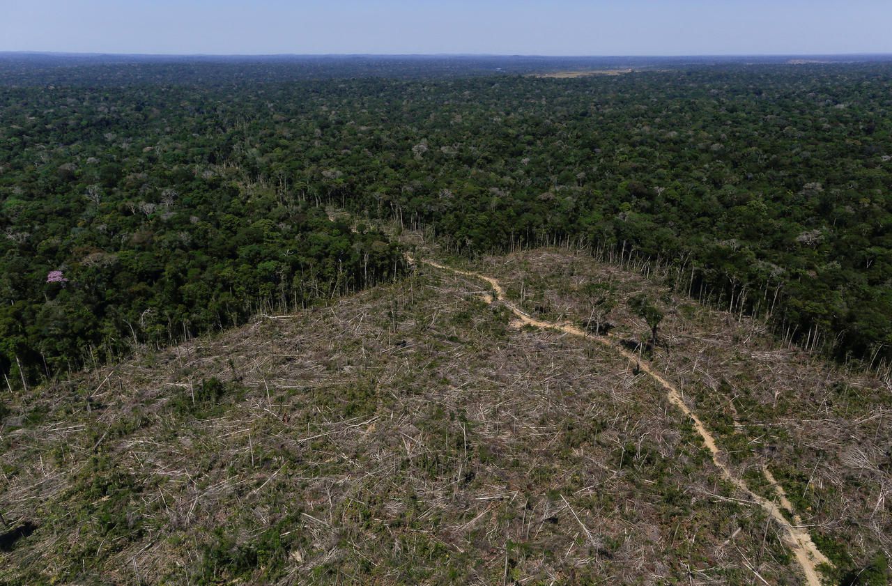 Brésil : la déforestation de l’Amazonie a augmenté de 88 % en un an