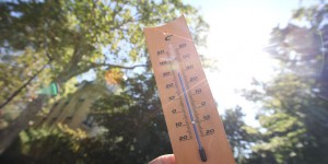 Climat  : juin 2019 a pulvérisé tous les records de chaleur