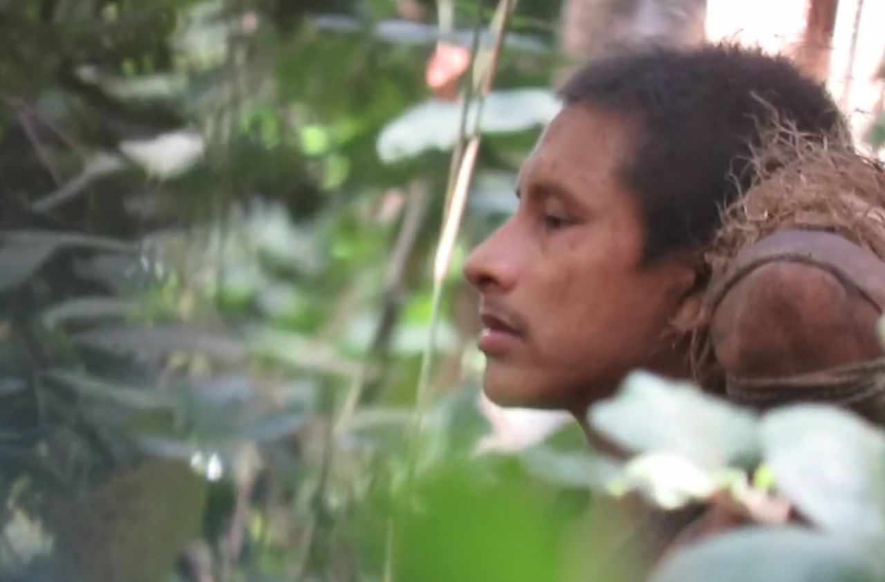Une ONG filme une tribu d’Amazonie pour empêcher son extinction