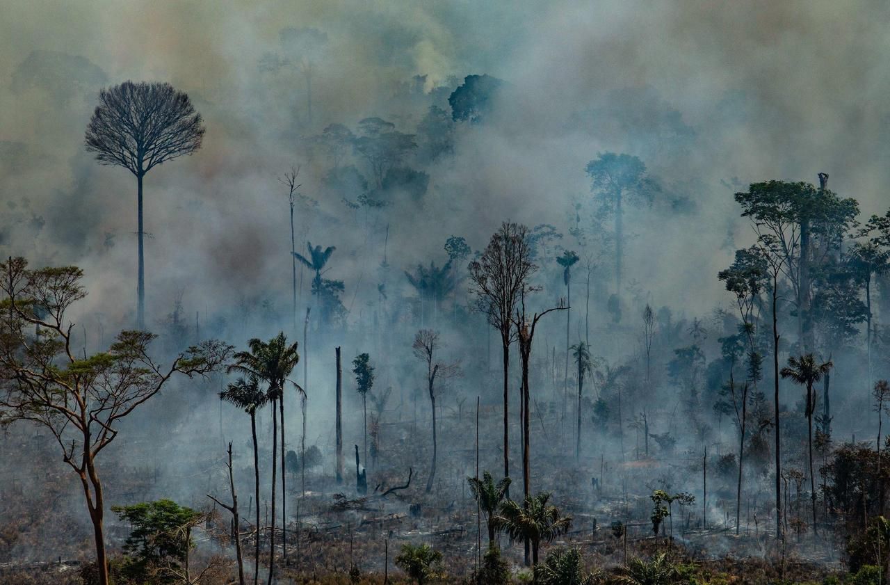 Amazonie : des centaines de nouveaux incendies