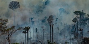 Amazonie : des centaines de nouveaux incendies