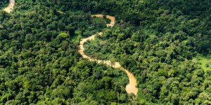 Amazonie : la France est-elle bien placée pour faire la leçon au Brésil ?