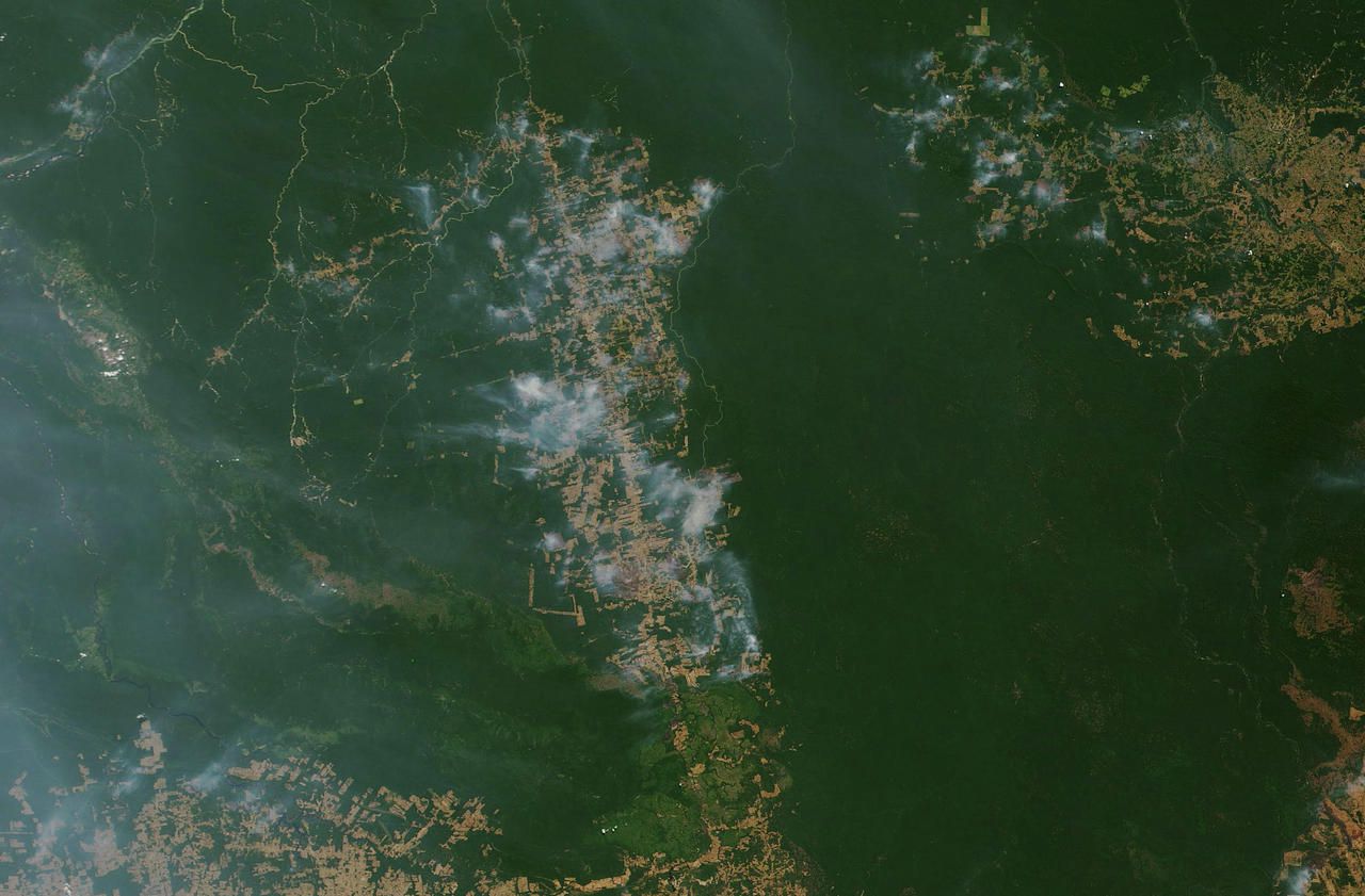 Amazonie :  le «Jour du Feu», l’acte criminel qui a décuplé la catastrophe