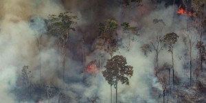 Depuis le début de l’année, il y a eu trois fois plus de feux de forêts en RDC qu’au Brésil