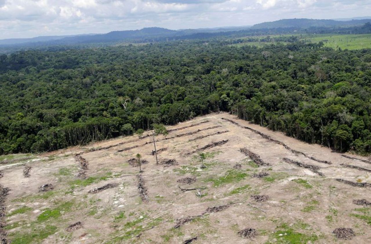Déforestation : la Norvège bloque 30 millions d'euros de subventions au Brésil