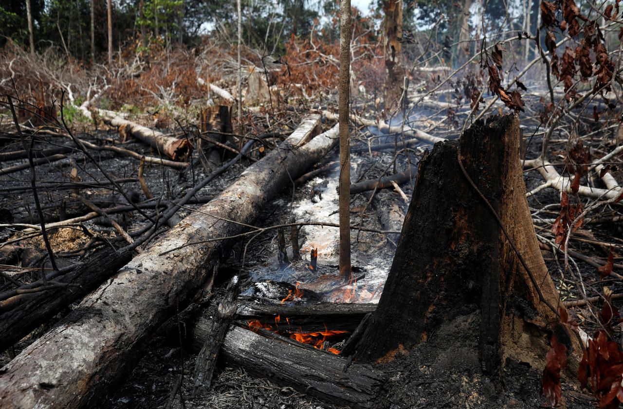 Énormes incendies en Amazonie : quelles conséquences pour la planète ?