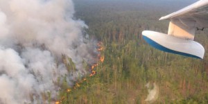 Feux de forêt en Sibérie : des millions d’hectares déjà brûlés, Poutine envoie l’armée