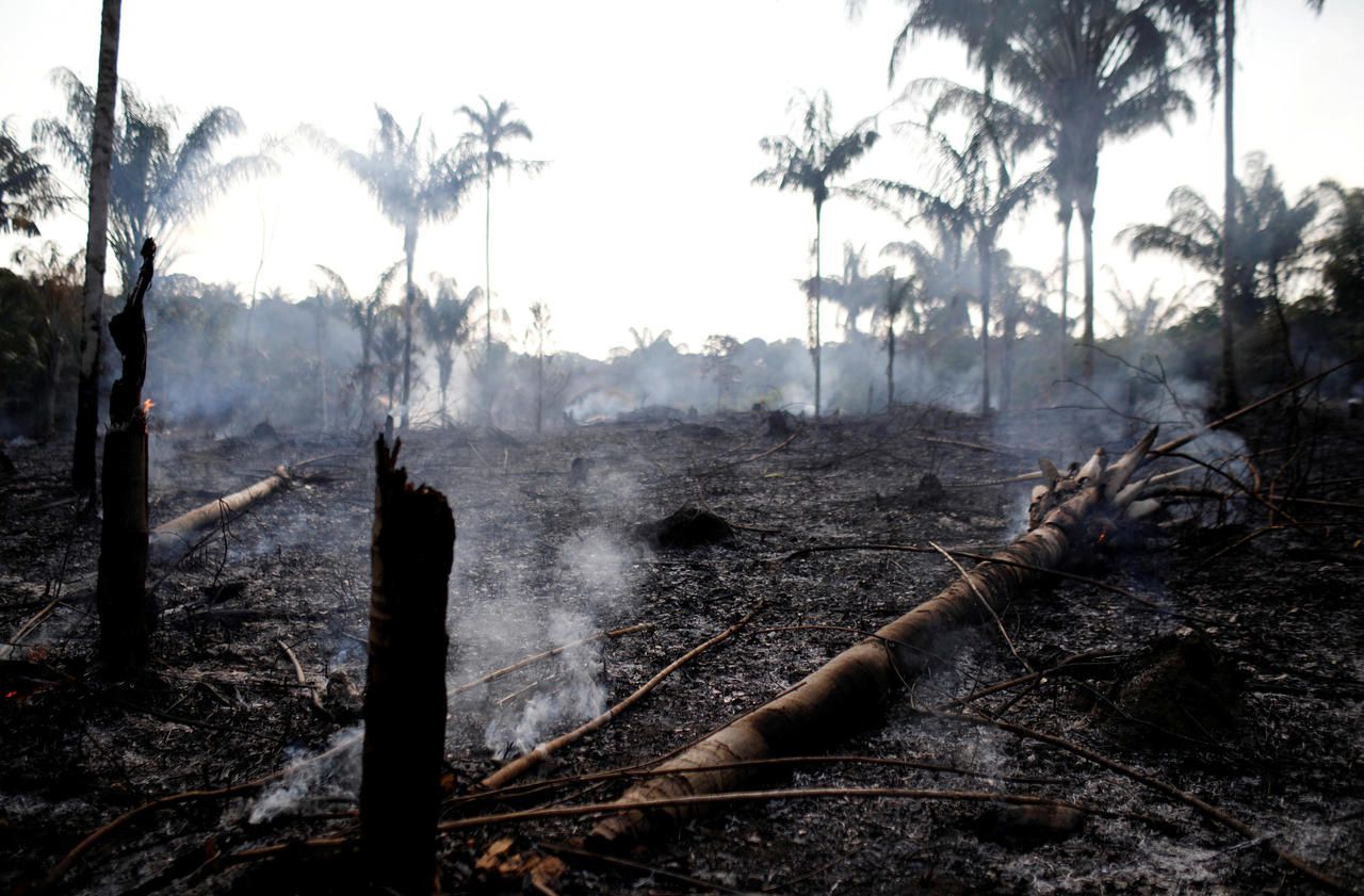 Incendies en Amazonie : les trois cartes pour tout comprendre