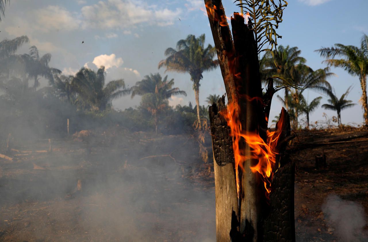 Incendies en Amazonie : comment éteint-on les feux géants ?