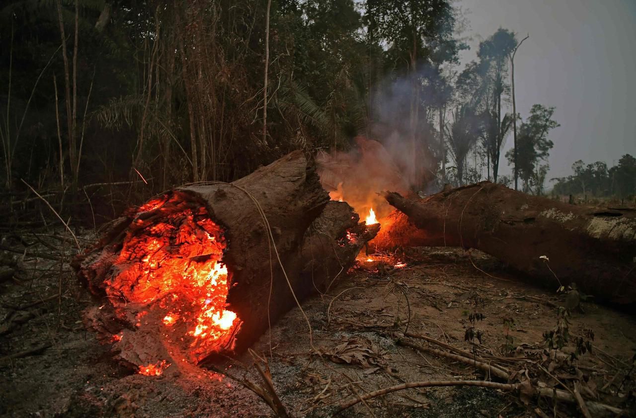 Incendies en Amazonie : le président brésilien Bolsonaro interdit les brûlis
