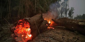 Incendies en Amazonie : le président brésilien Bolsonaro interdit les brûlis