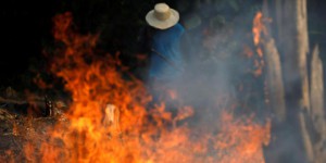 Incendies en Amazonie : la situation est « hors de contrôle », s’inquiète une écologiste brésilienne