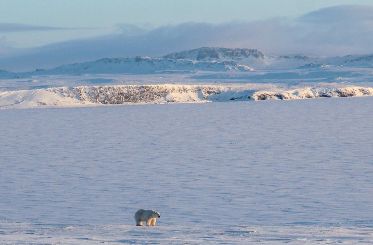 La Russie annonce la découverte de cinq îles, révélées par la fonte des glaces