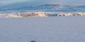 La Russie annonce la découverte de cinq îles, révélées par la fonte des glaces