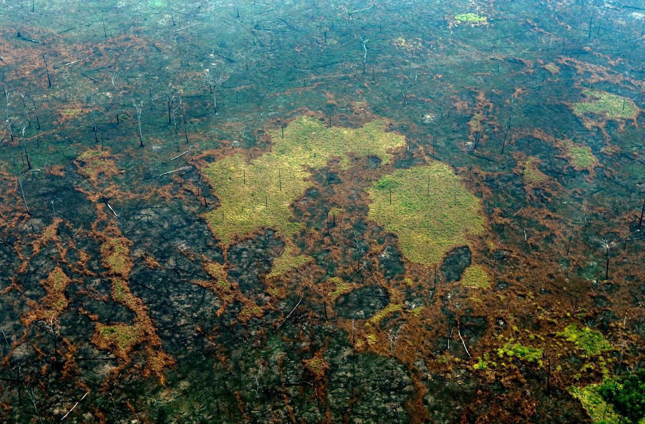 Incendies en Amazonie : «Des dizaines et dizaines d’années pour s’en remettre»