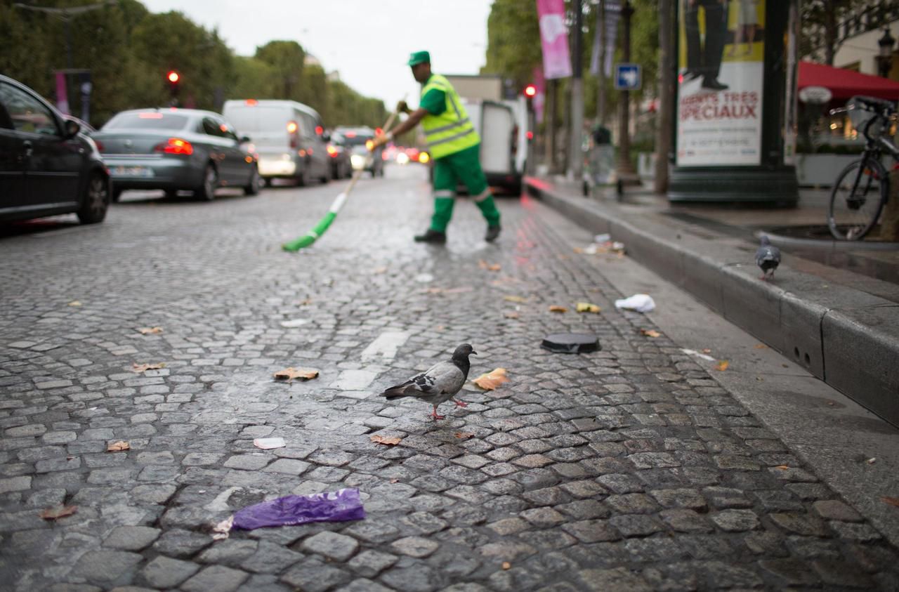 «Paris, ville poubelle» : la capitale est-elle vraiment si sale ?