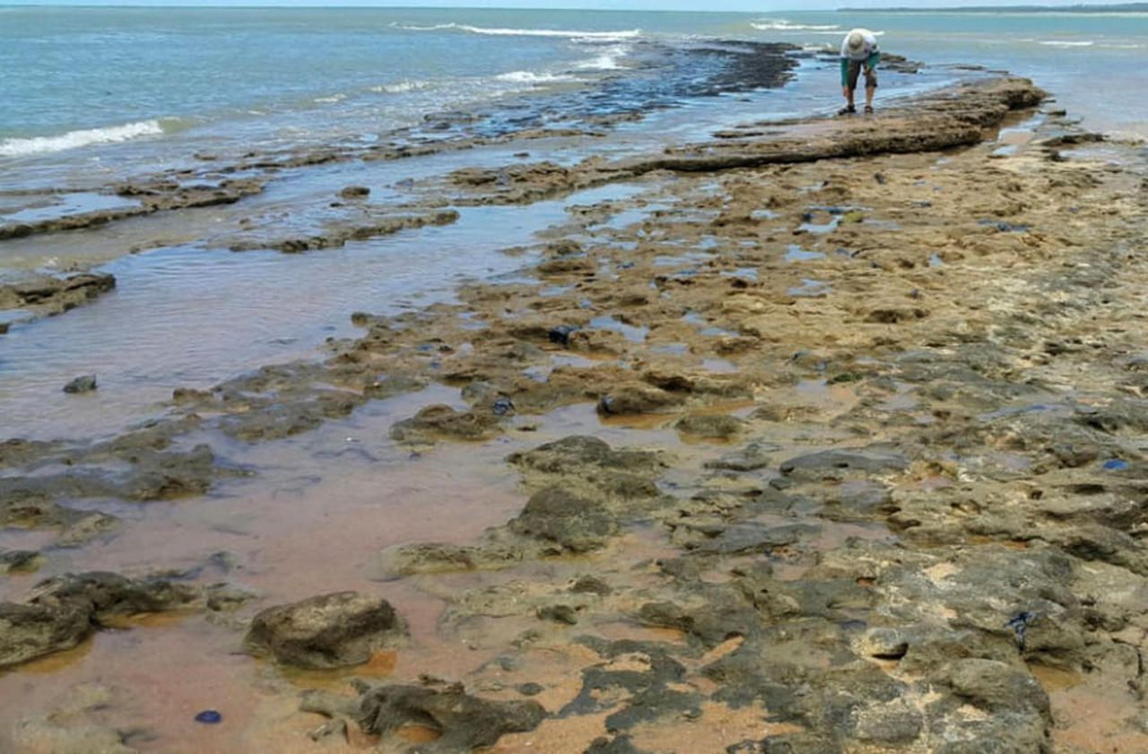 Brésil : une mystérieuse pollution souille plus de 130 plages