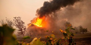 Incendies  en Californie : pourquoi des feux aussi fréquents et aussi importants