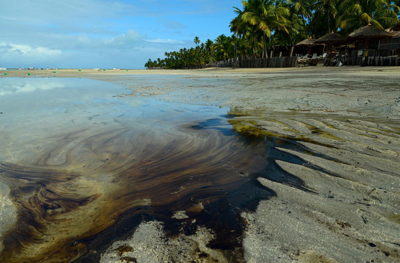 Plages souillées par le pétrole au Brésil : ce que l’on sait de ce «désastre» environnemental