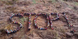 Une pétition contre «le massacre à la tronçonneuse» dans les forêts françaises