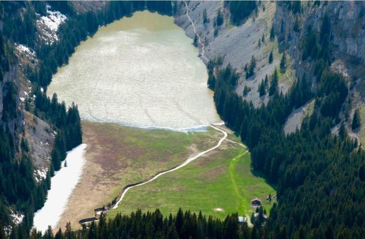 Conduite sur glace  : en Haute-Savoie, une pétition pour protéger les chamois