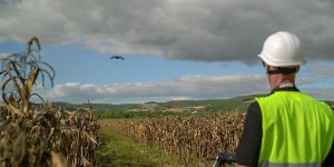 Occitanie : contre les plantes toxiques, le roi du pop-corn utilise des drones