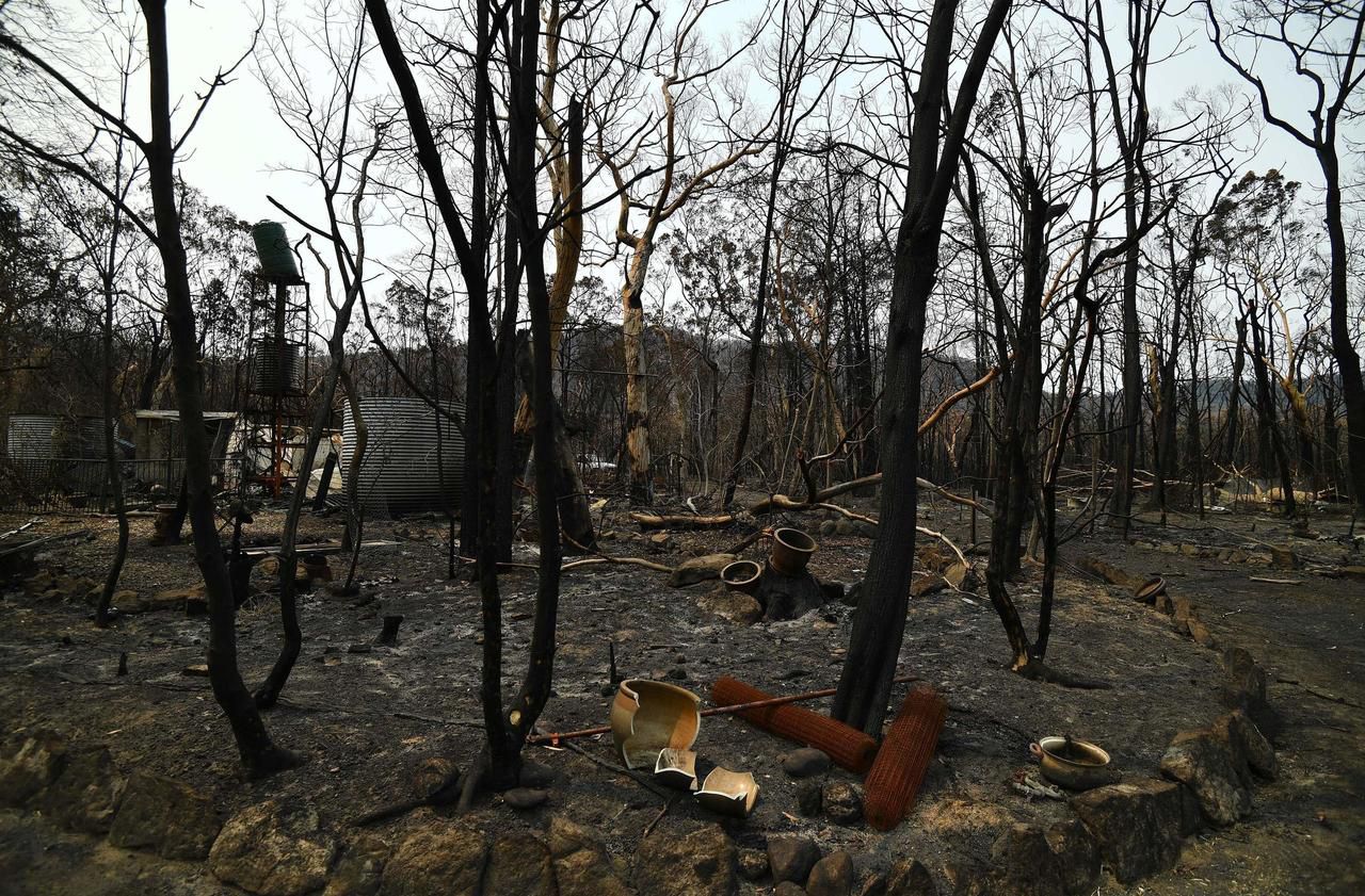 Incendies en Australie : la pluie tombe enfin