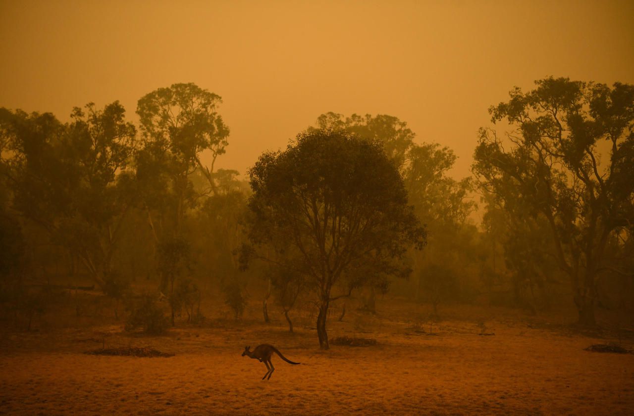 Incendies en Australie : «Nous pourrions de nouveau être coincés»