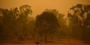 Incendies en Australie : «Nous pourrions de nouveau être coincés»
