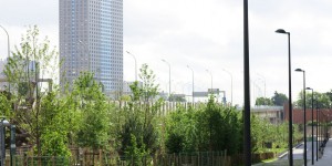 20 000 arbres de plus à Paris : le bilan de la Ville ne convainc pas les défenseurs de l’environnement