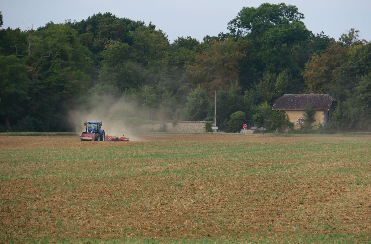 Épandage des pesticides : huit ONG attaquent la nouvelle réglementation devant le Conseil d’État