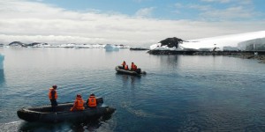 Quand les moules tentent d’envahir l’Antarctique