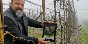 Pesticides : en Corrèze, un SMS avertit les riverains d’un épandage sur les pommiers