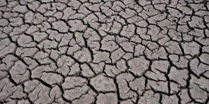 Climat : les sols sont de plus en plus secs
