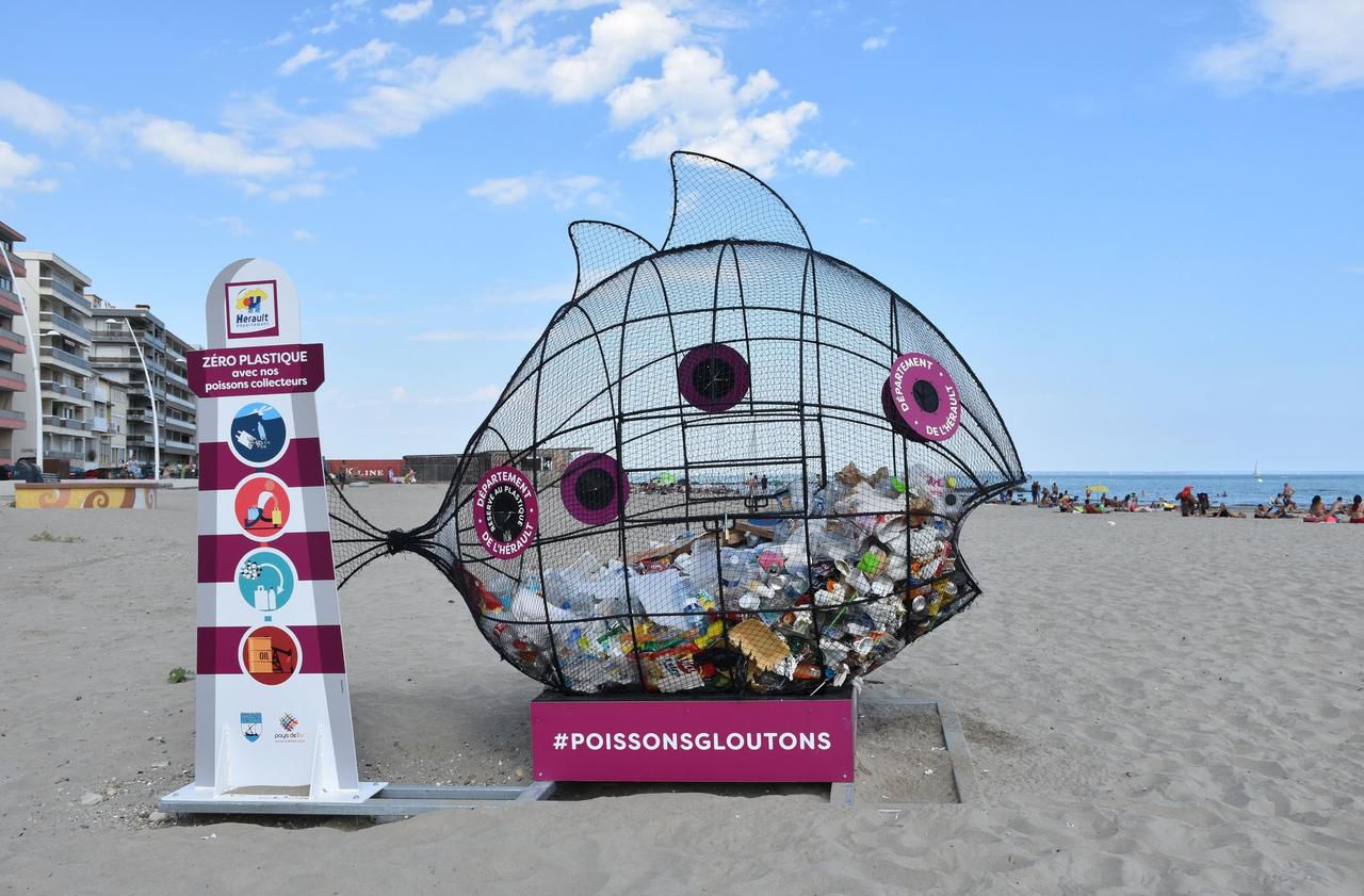 Des «poissons» mangeurs de plastique sur les plages de l’Hérault