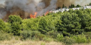 Incendie à Vitrolles : 30 hectares brûlés, 500 maisons évacuées