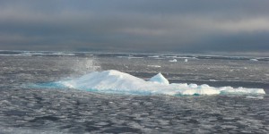 Arctique  : la banquise d'été au deuxième plus bas niveau jamais observé