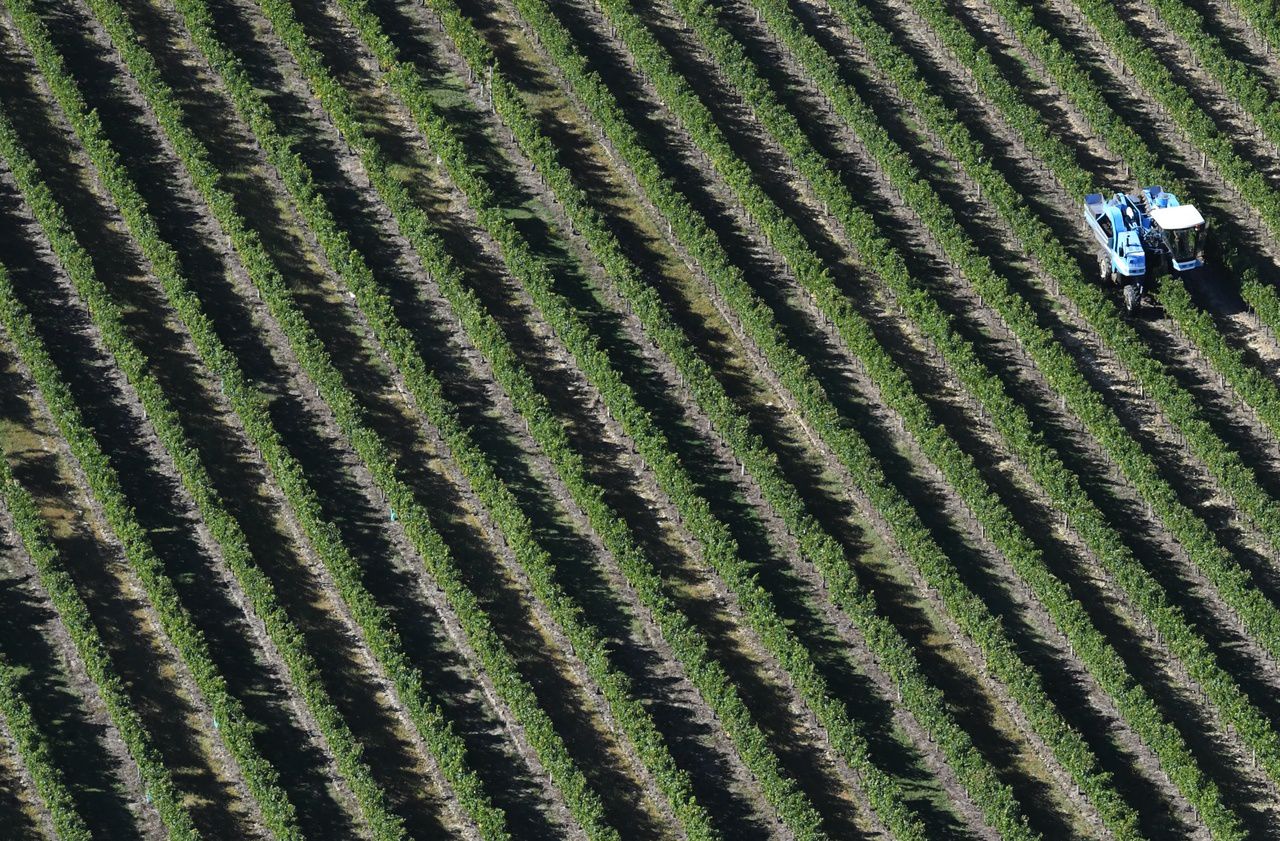Des résidus de pesticides dans des vins labellisés