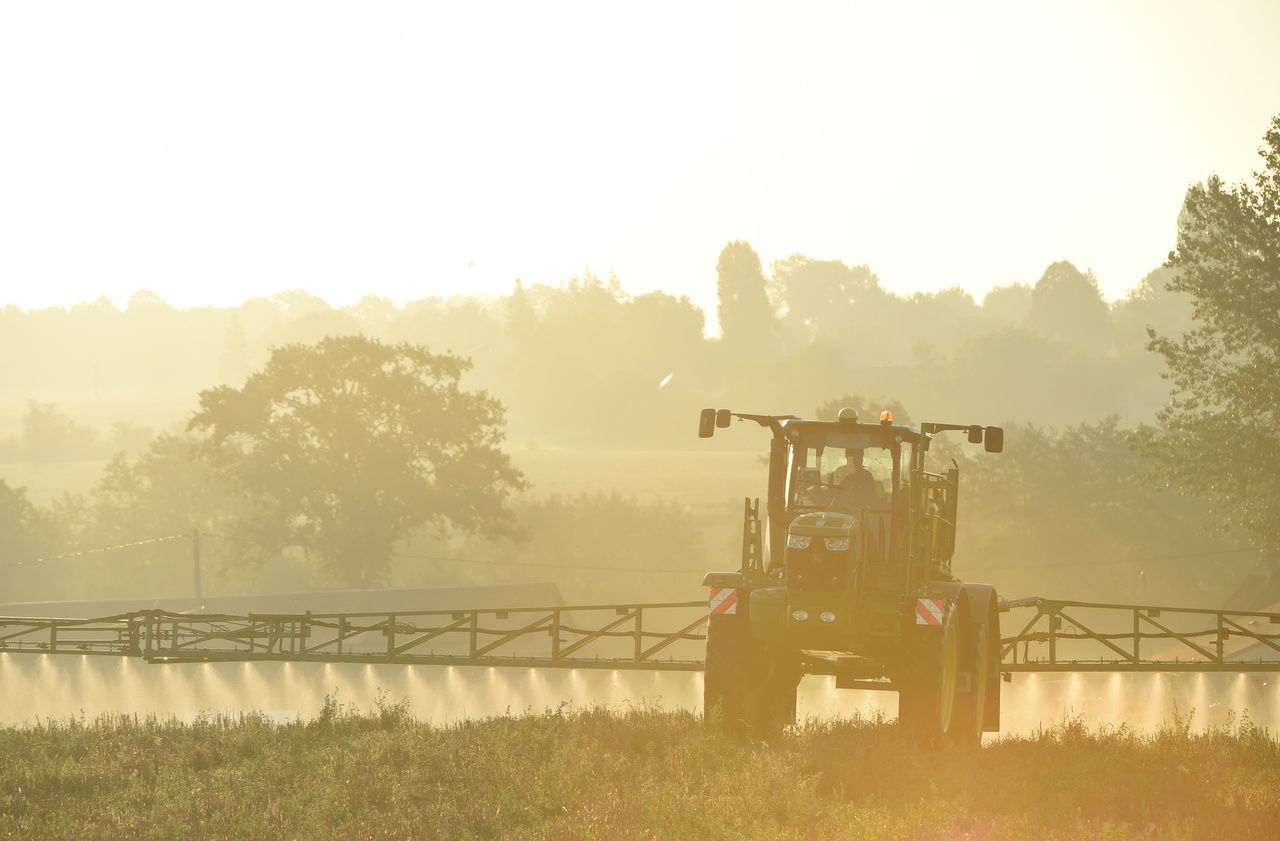 Canada : décès d’un agriculteur célèbre pour avoir combattu Monsanto
