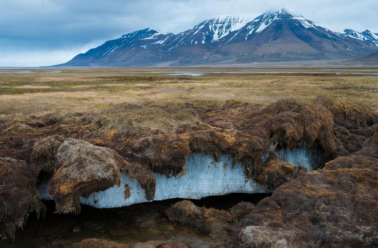 Le dégel du permafrost, «une bombe à retardement virale et bactérienne»