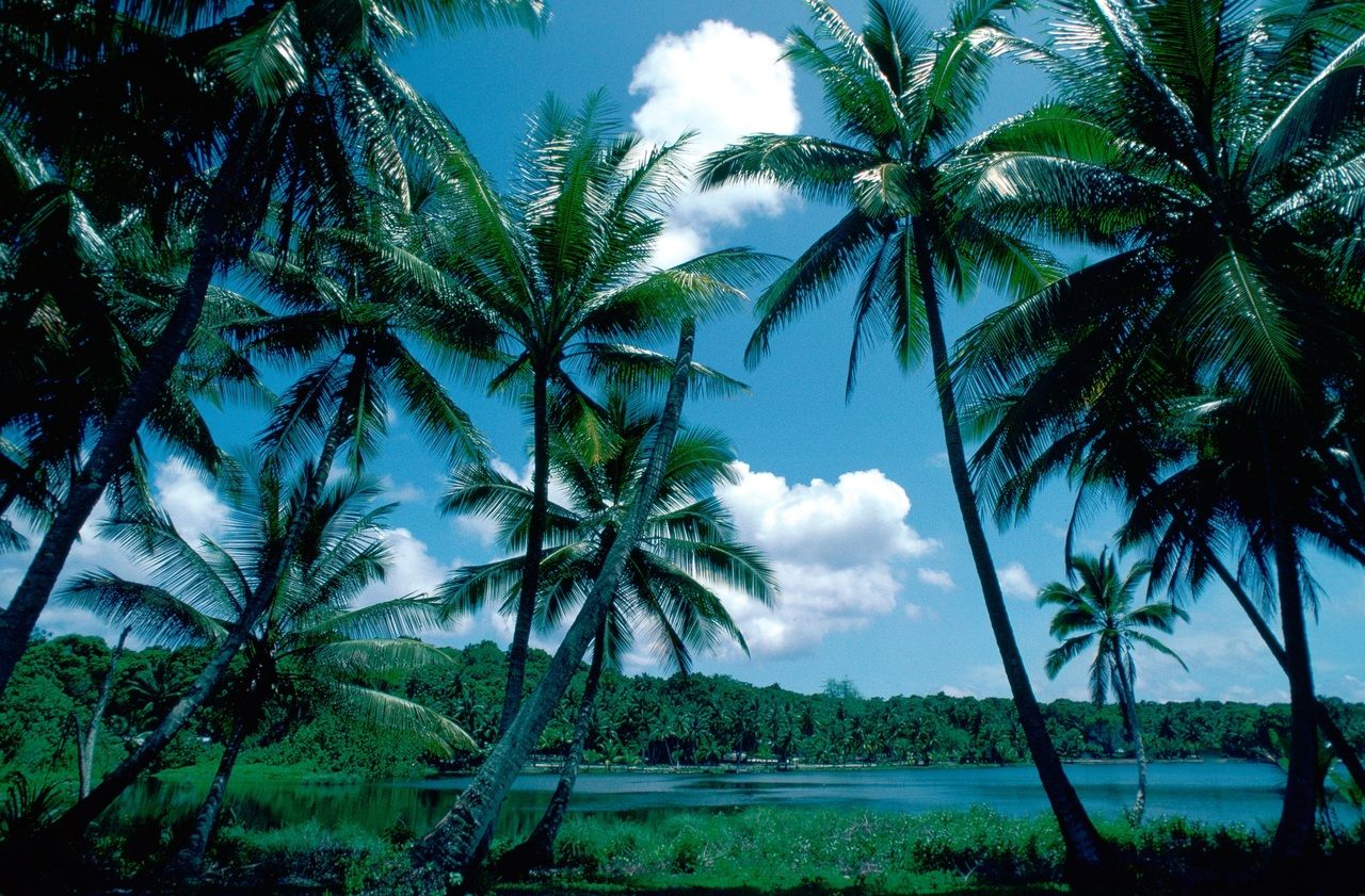 L’île de Nauru, petit paradis devenu un enfer