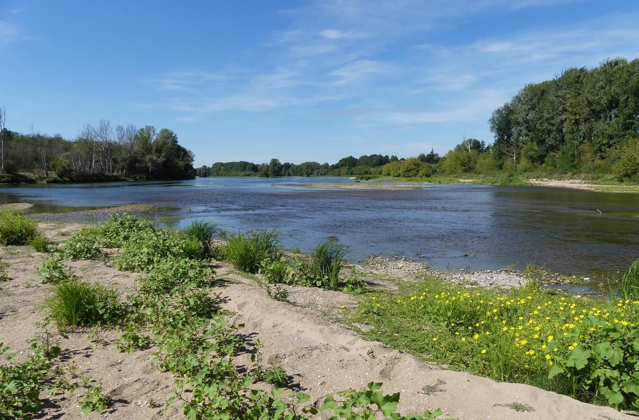 Dans le Loiret, la réserve nationale de Saint-Mesmin victime de son succès