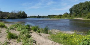 Dans le Loiret, la réserve nationale de Saint-Mesmin victime de son succès