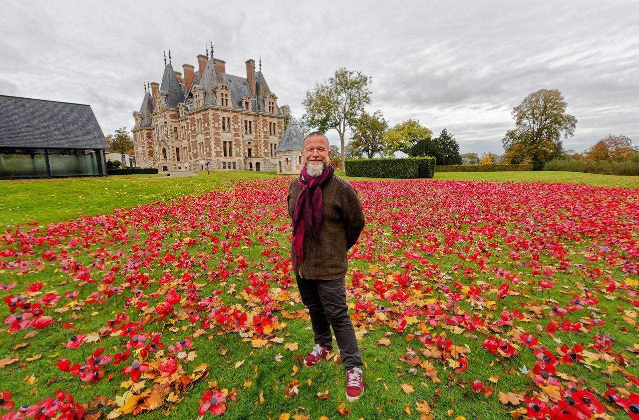 En Seine-Maritime, un champ de coquelicots en fleur… et en plastique