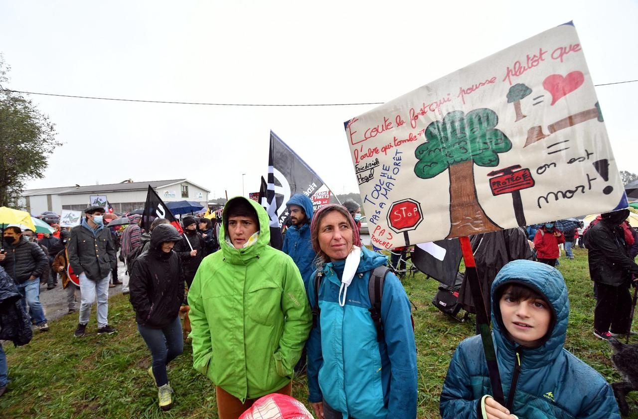 Hautes-Pyrénées : ils veulent sauver la forêt de Lannemezan