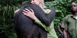 L’appel de Jane Goodall : «Nous devons trouver la voie d’une économie verte»